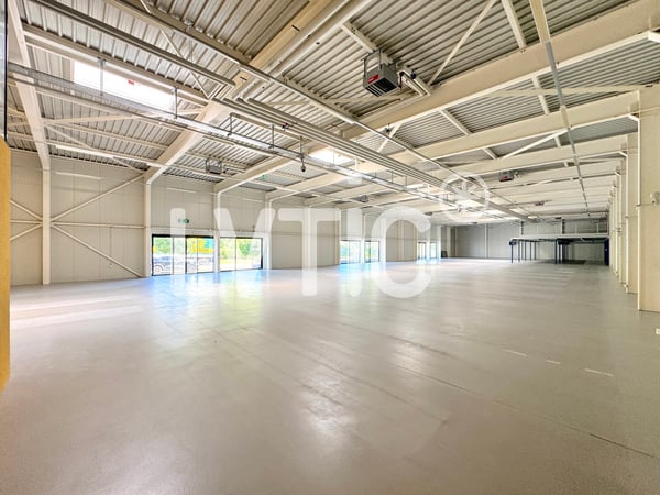 Locaux, showrooms, dépôts de 1165 m2 à louer à Yverdon 1