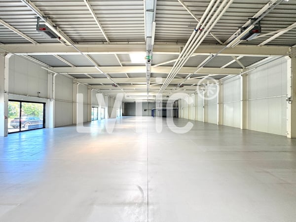 Locaux, showrooms, dépôts de 1165 m2 à louer à Yverdon 2