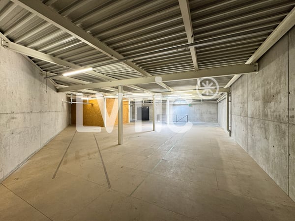 Locaux, showrooms, dépôts de 1165 m2 à louer à Yverdon 6