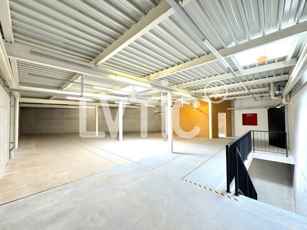 Locaux, showrooms, dépôts de 1165 m2 à louer à Yverdon 5