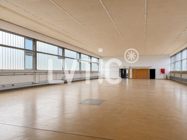 Halle, dépôt de 1240 m2 à louer à Saint-Sulpice 3