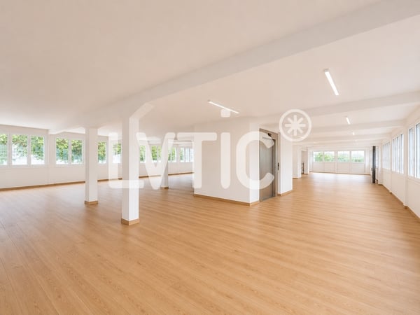 Bâtiment industriel de 3980 m2 divisibles à louer au Mont-sur-Lausanne 6