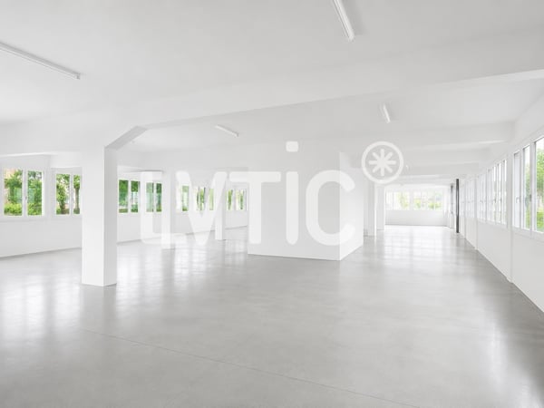 Bâtiment industriel de 3980 m2 divisibles à louer au Mont-sur-Lausanne 3