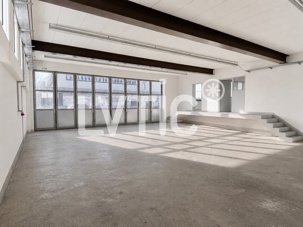 Petit bâtiment à usage d'atelier de 305 m2 à louer à Bex 3