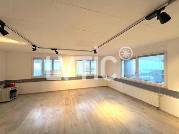 Atelier, dépôt, bureaux de 1500 m2 divisibles à louer à Villeneuve 4