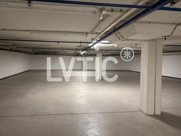 Dépôt de 680 m2 divisibles dès 300 m2 à louer à Martigny 2