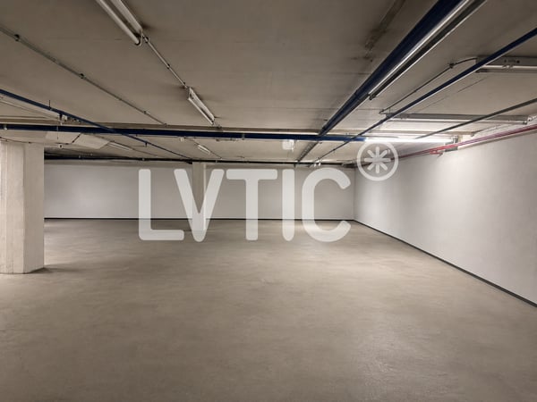 Dépôt de 680 m2 divisibles dès 300 m2 à louer à Martigny 1