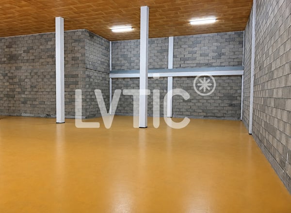 Dépôt de 315 m2 à louer à St-Légier 2