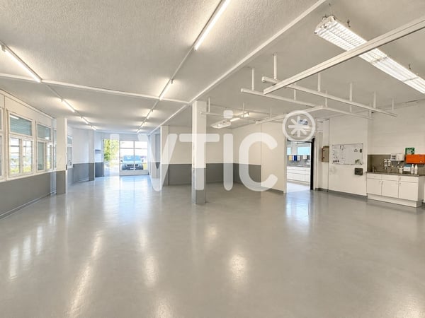 Showroom, dépôt, bureaux de 700 m2 divisibles à louer à Bussigny