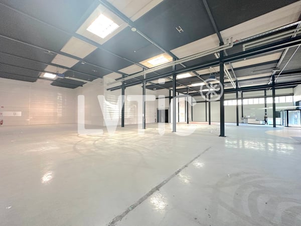 Halle industrielle de 1010 m2 à louer à Villeneuve 3