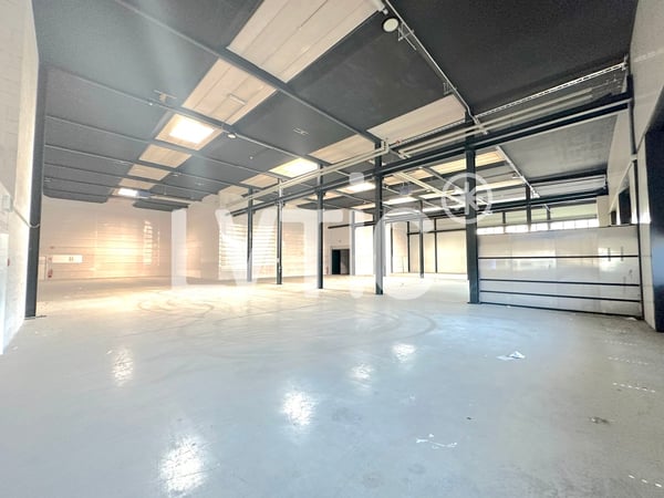 Halle industrielle de 1010 m2 à louer à Villeneuve 2