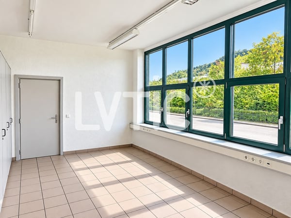 Bâtiment industriel de 2100 m2 sur parcelle 4700 m2 à louer à Moudon 13