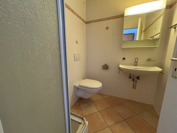 Magnifique duplex 1.5 pièces avec balcon à Gland (en cours de rénovation) 10