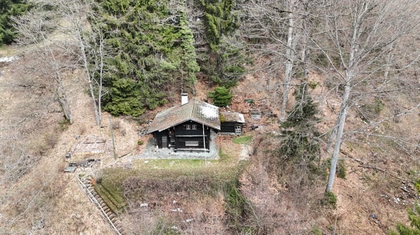 Charmant chalet avec vue, au cœur de la nature à Blonay 10
