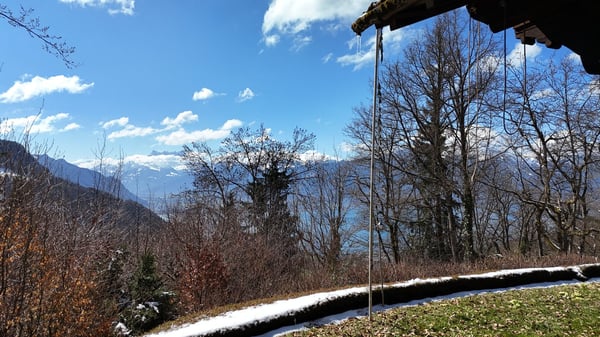 Charmant chalet avec vue, au cœur de la nature à Blonay 7