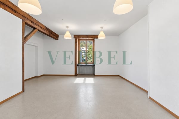 Magasin avec bureau au coeur du village 11