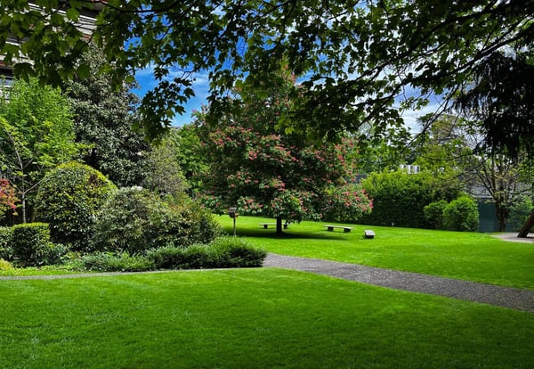 Magnifique appartement de 270 m2 3