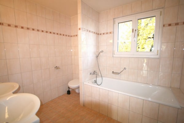 Villa jumelée de 6 pièces avec terrasse et jardin à Bellevue 9