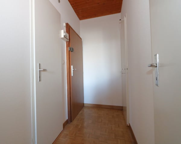 Appartement de 3 pièces à Plainpalais 6