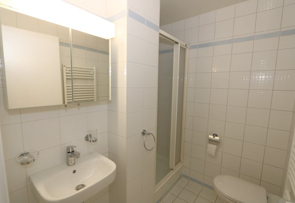 Appartement de 5 pièces en attique avec mezzanine et terrasse à Thônex 10