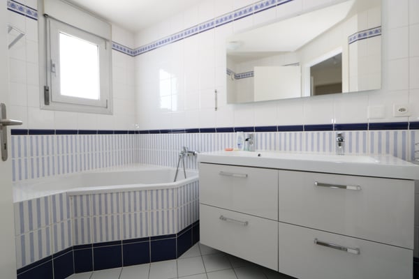 Appartement duplex de 6 pièces en attique à Chêne-Bougeries 4