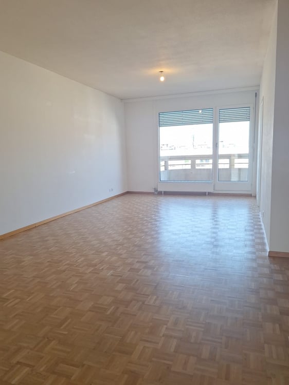 Appartement de 6 pièces avec balcon à Plainpalais 3