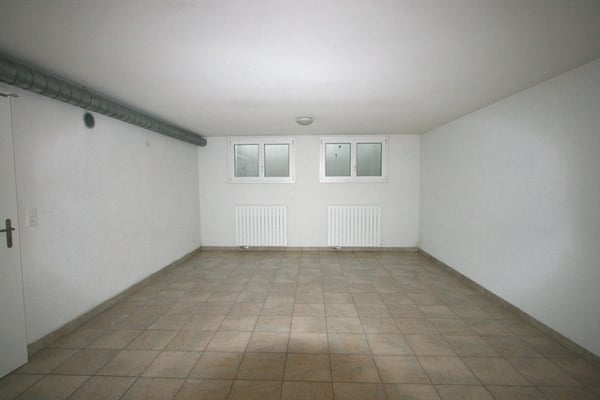Villa jumelée de 6 pièces avec terrasse et jardin à Bellevue 11