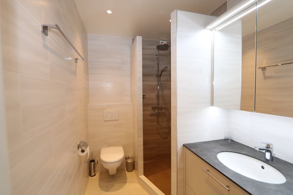 Appartement de 2,5 pièces avec balcon à Champel-Florissant 9