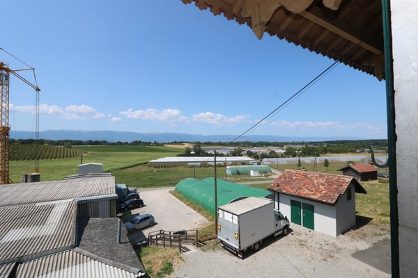 Bureaux-Locaux au coeur de la campagne genevoise 10