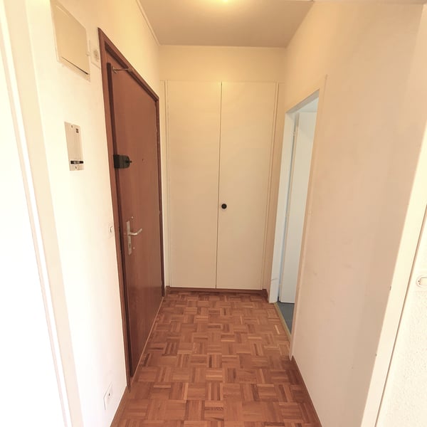 Appartement de 2 pièces avec balcon à Plainpalais 2
