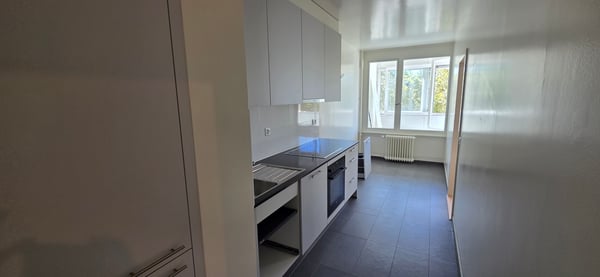 Appartement traversant de 3 pièces avec Loggia à Vernier 4