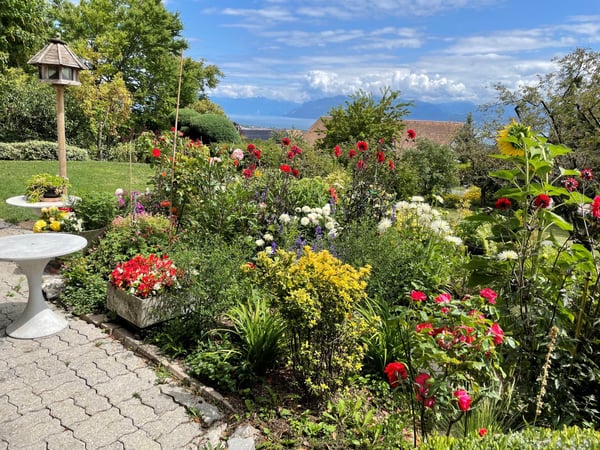 Magnifique villa individuelle non meublée ou meublée (à choix) avec splendide vue sur le lac à Féchy 3