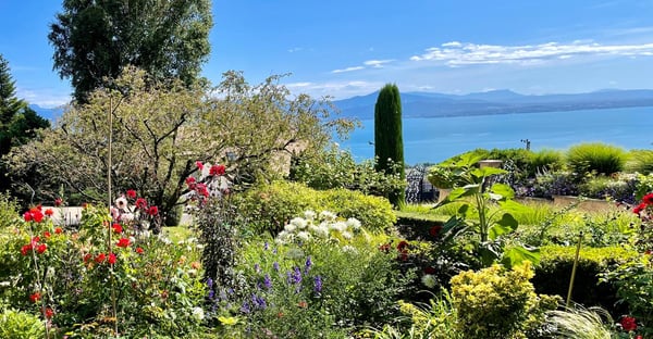 Aperçu de l'image de l'immobilier