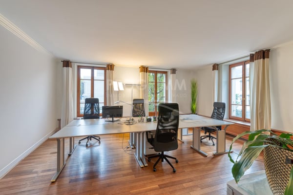 Quai du Rhône. Bureaux haut standing avec fibre, parkings et balcons. Parkings disponibles. 2