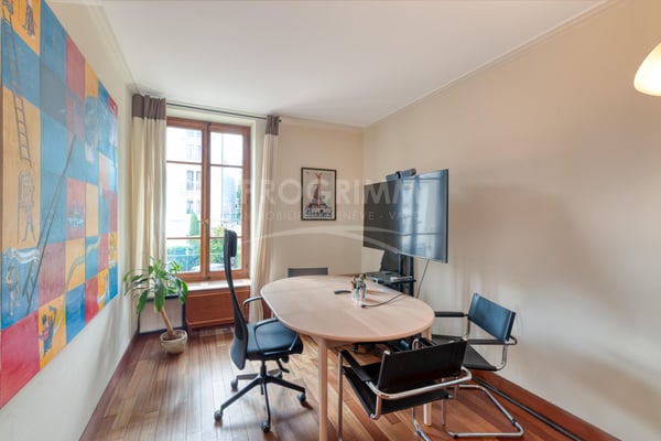 Quai du Rhône. Bureaux haut standing avec fibre, parkings et balcons. Parkings disponibles. 8