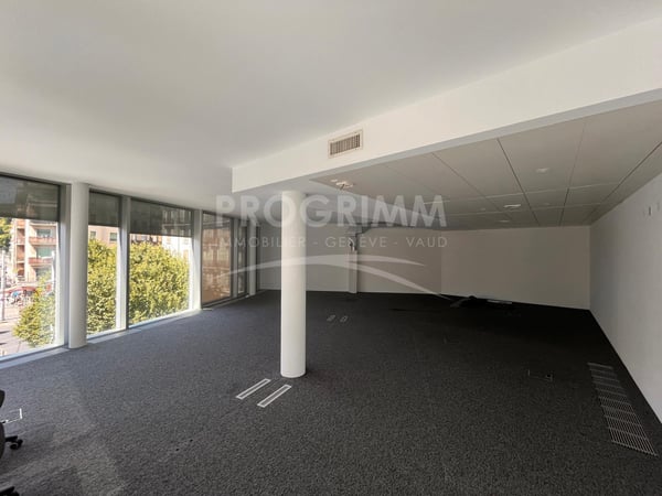 Secteur Jonction - Superbes bureaux de 100m2 - 3ème étage - Lumineux et climatisés - Places de pkg en option. 3