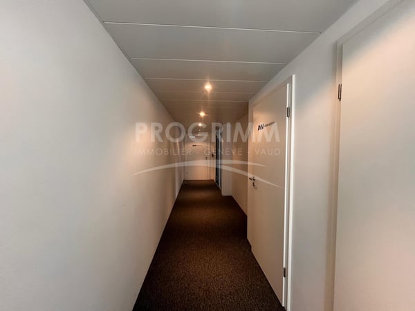 Secteur Jonction - Superbes bureaux de 100m2 - 3ème étage - Lumineux et climatisés - Places de pkg en option. 2