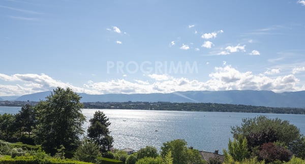 Coteau de Cologny - Villa avec vue magnifique 11