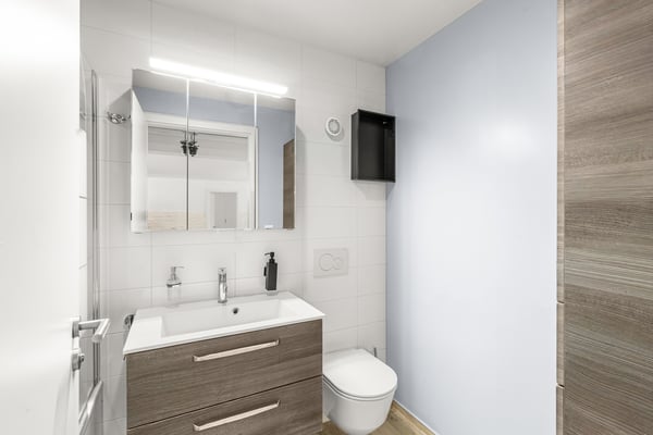 Le charme du bourg et le confort du moderne au centre de Blonay 10