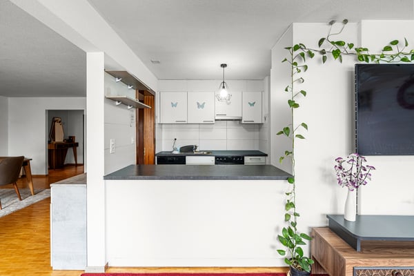 Appartement lumineux avec jardin privatif au centre de Aigle 5