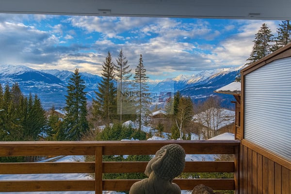 Crans-Montana - Viager occupé 7