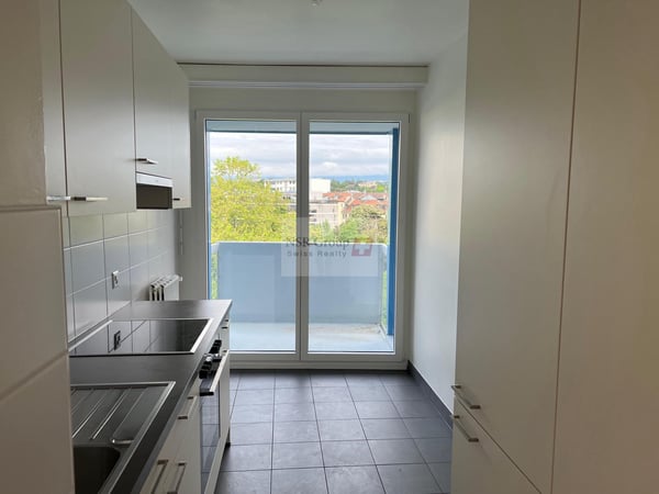 Élégant 5 pièces rénové dans le quartier prisé de Carouge 12