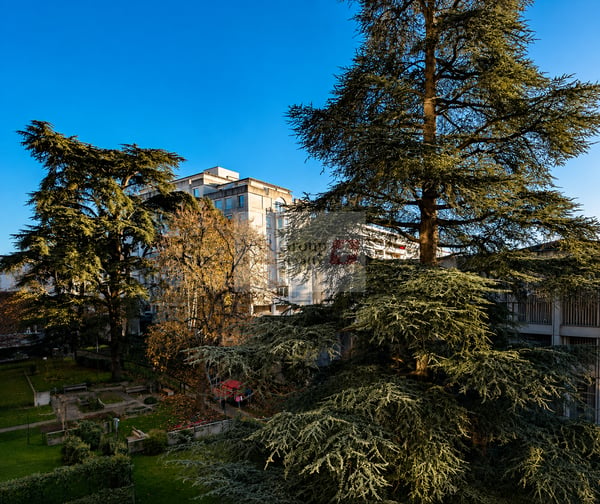 Appartement de standing entièrement rénové à Champel 4