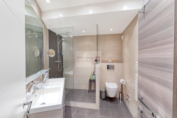 Magnifique appartement en attique en duplex à Malagnou 7