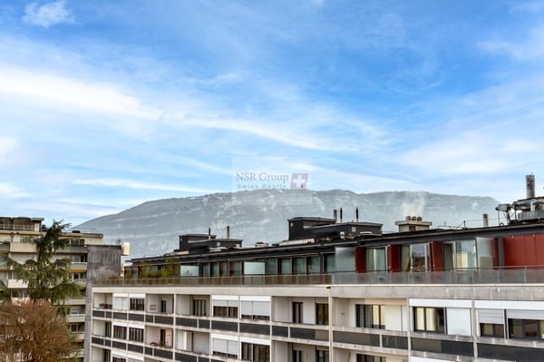 Magnifique appartement en attique en duplex à Malagnou 4