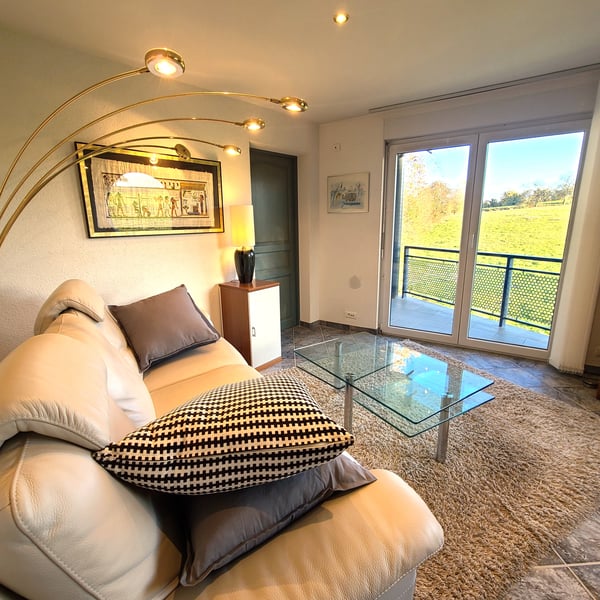 F1 meublé de 14m² aux portes de la nature 3