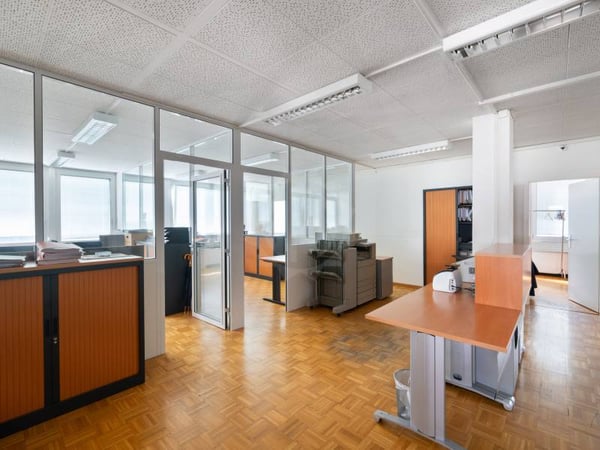 Chaleureux bureaux - Genève 6