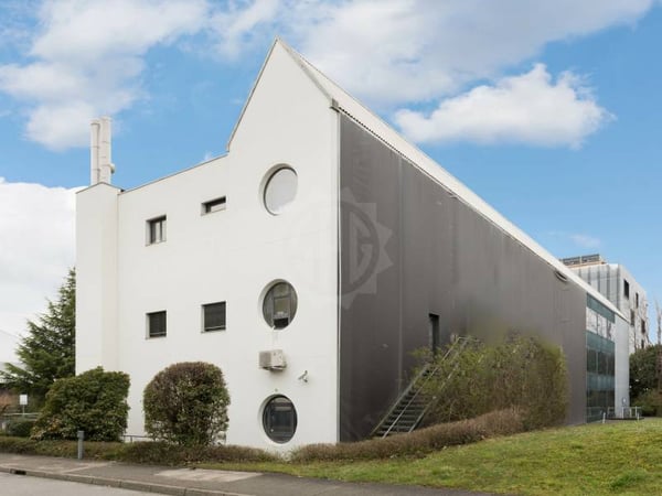 Grande surface industrielle - Meyrin 2
