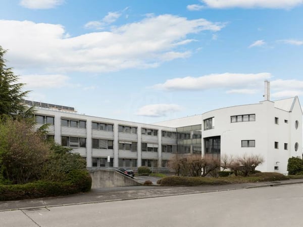 Grande surface industrielle - Meyrin 1