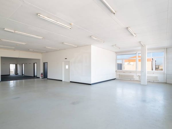 Belles surface industrielle - Grand-Lancy 2